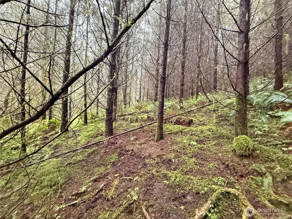 0 Bunker Creek Road Adna WA 98522
