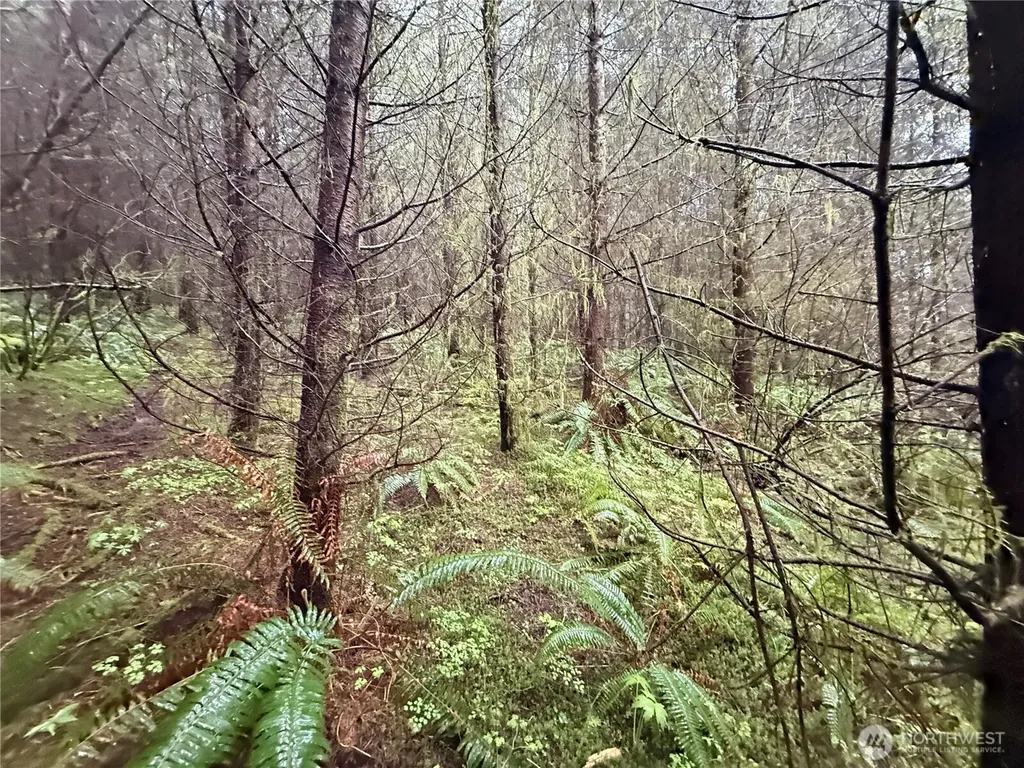 0 Bunker Creek Road Adna WA 98522