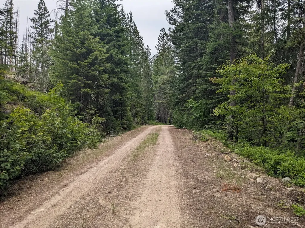 0 Bia Road Nespelem WA 99155