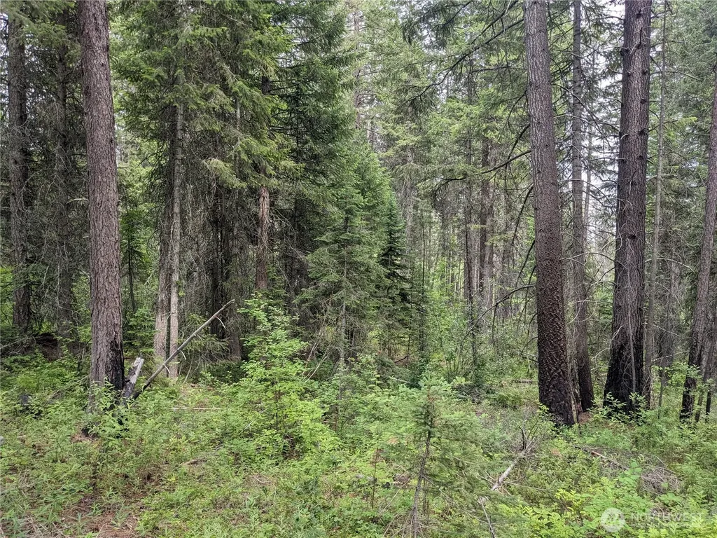 0 Bia Road Nespelem WA 99155
