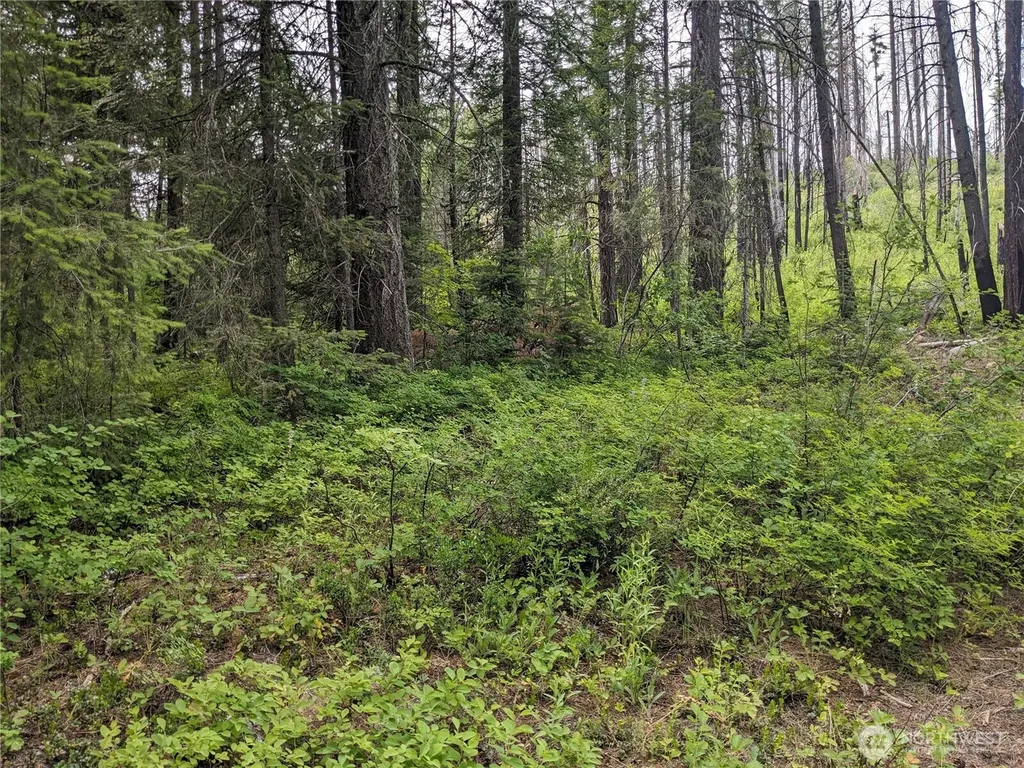 0 Bia Road Nespelem WA 99155