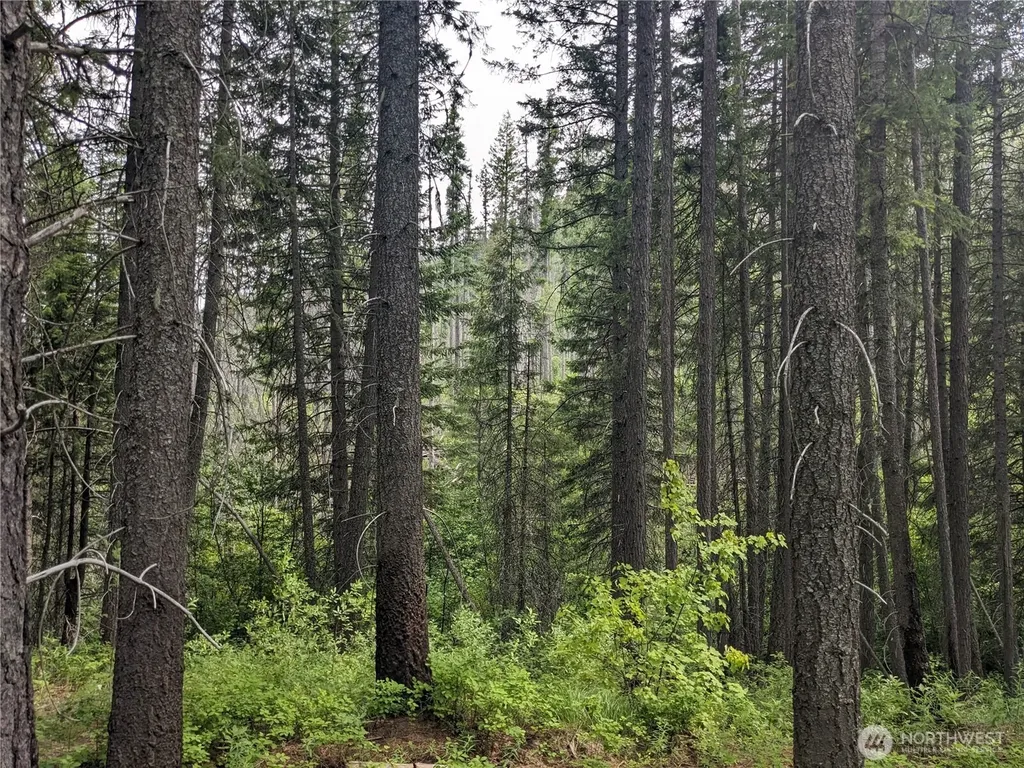 0 Bia Road Nespelem WA 99155