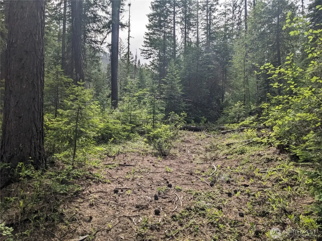 0 Bia Road Nespelem WA 99155