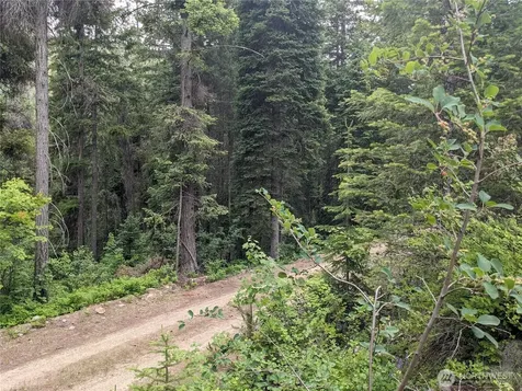 0 Bia Road Nespelem WA 99155