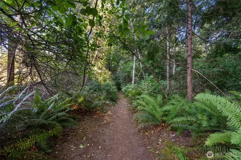 6560 NE Latyson Lane Bainbridge Island WA 98110