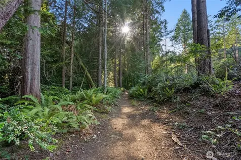 6560 NE Latyson Lane Bainbridge Island WA 98110
