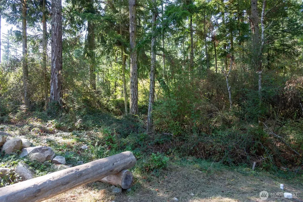62 Quadra Lane Friday Harbor WA 98250