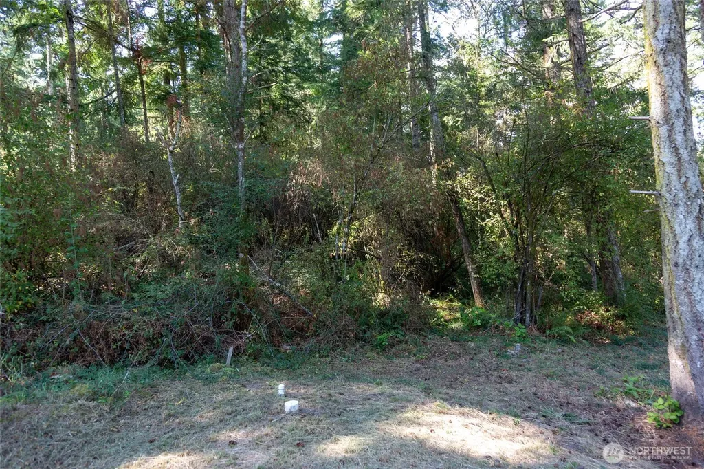 62 Quadra Lane Friday Harbor WA 98250