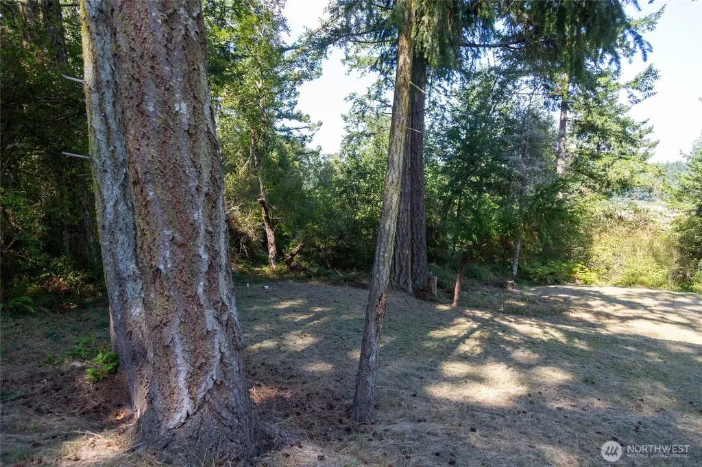 62 Quadra Lane Friday Harbor WA 98250
