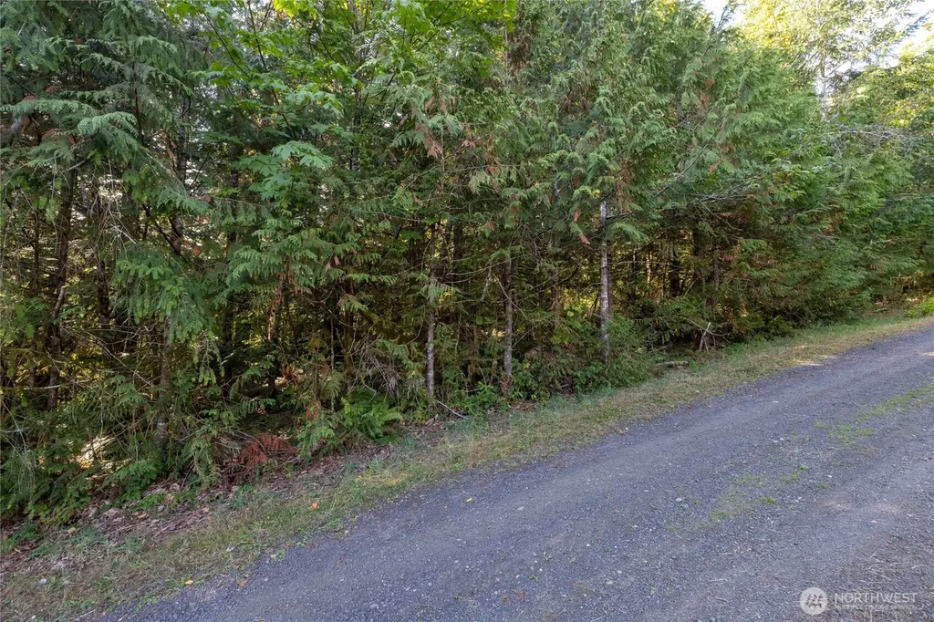 0 E Mason Avenue Union WA 98592