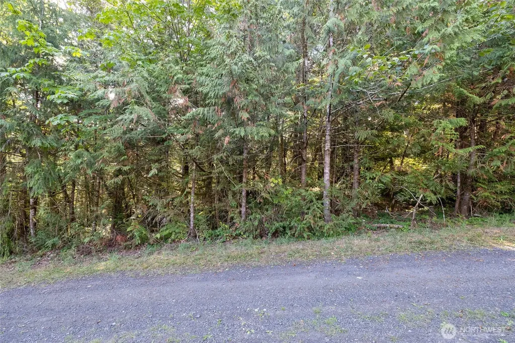0 E Mason Avenue Union WA 98592