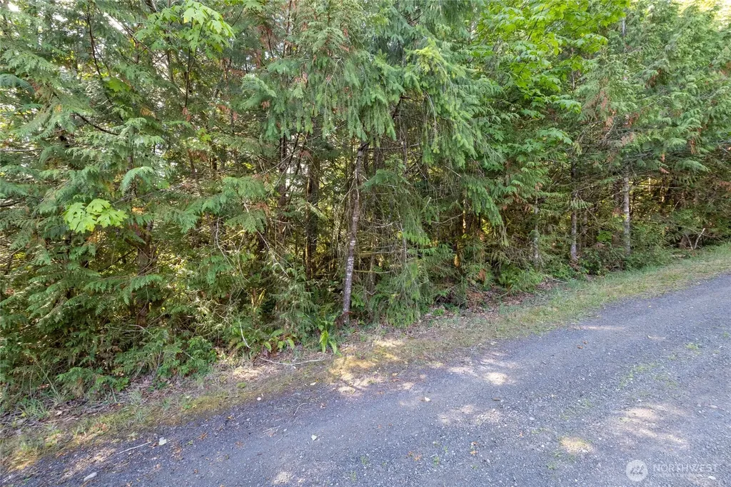0 E Mason Avenue Union WA 98592