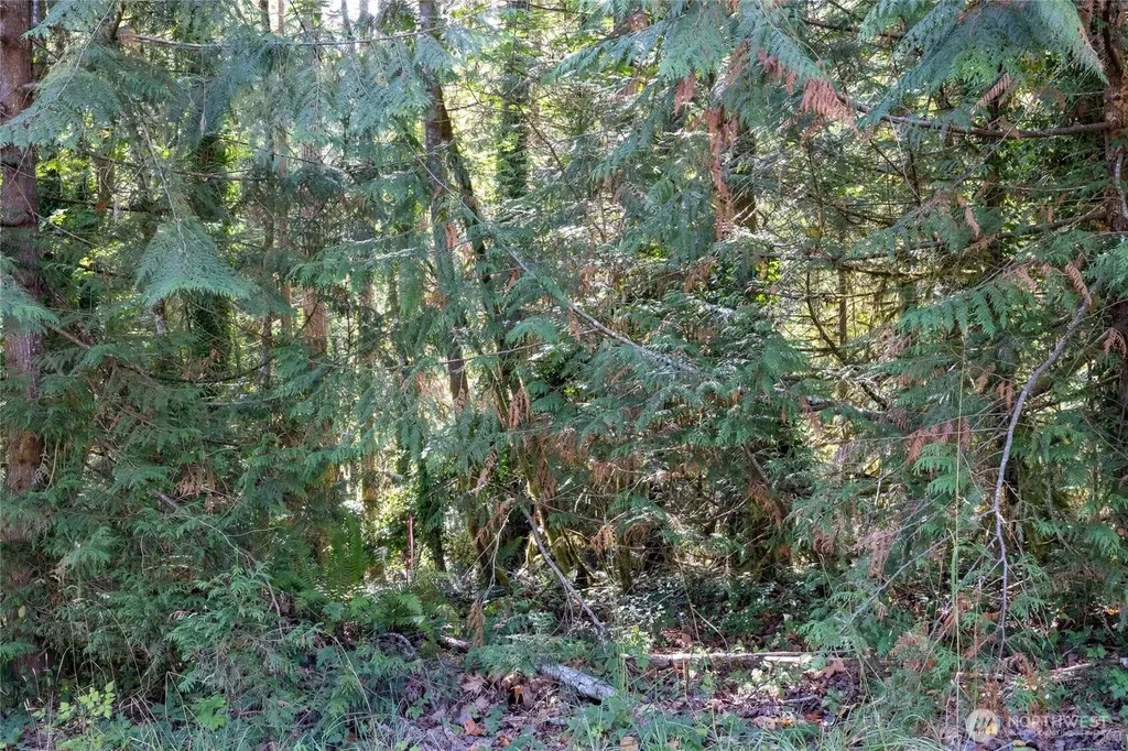 0 E Sprague Avenue Union WA 98592