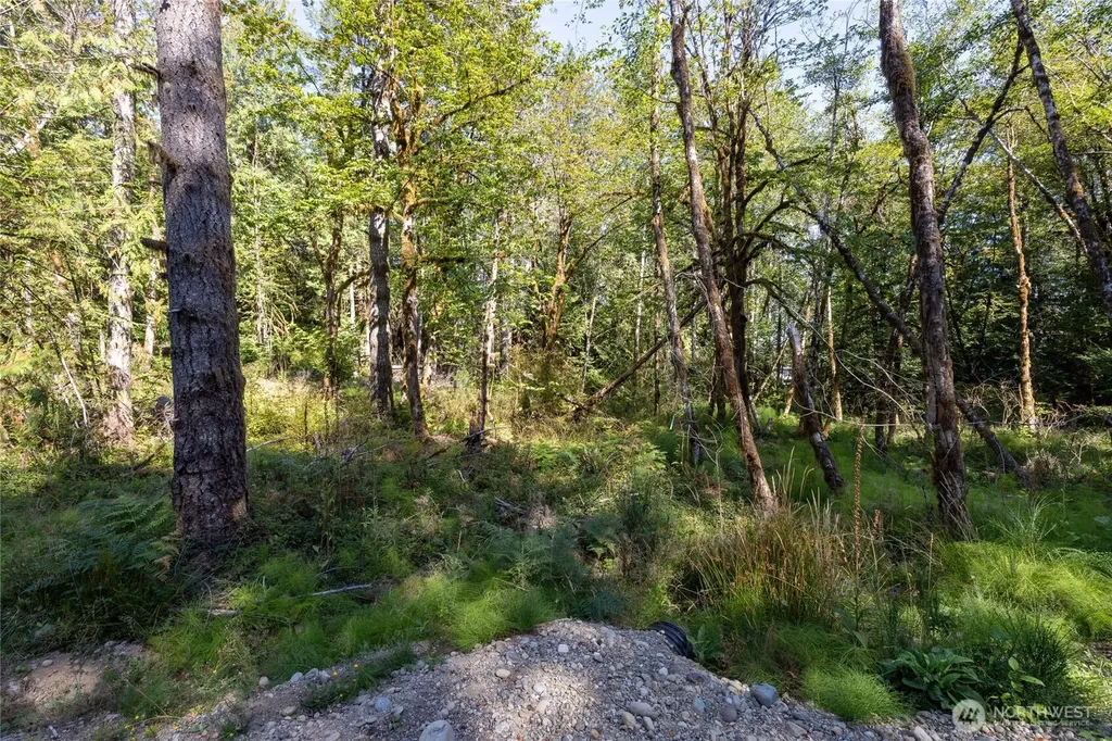 0 E Sprague Avenue Union WA 98592