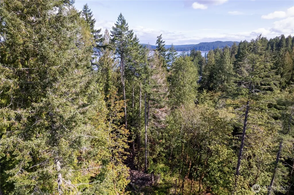 0 E Sprague Avenue Union WA 98592