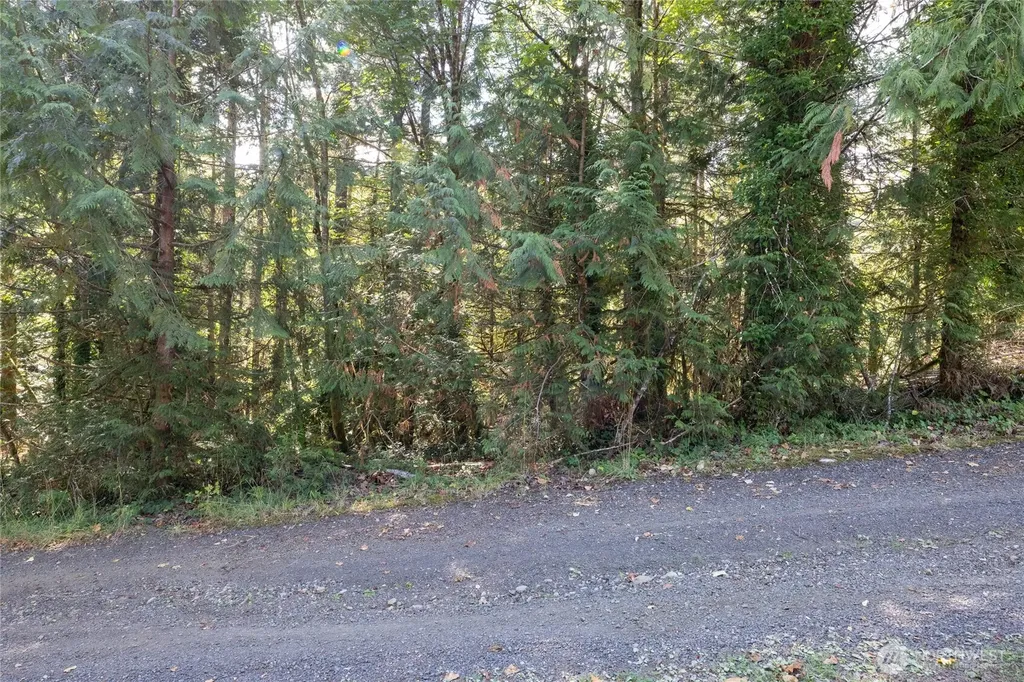 0 E Sprague Avenue Union WA 98592