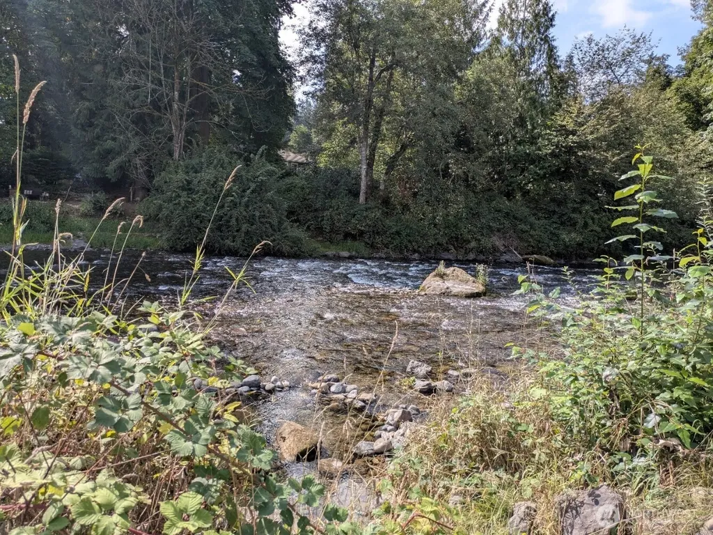 22521 218th Street Maple Valley WA 98038