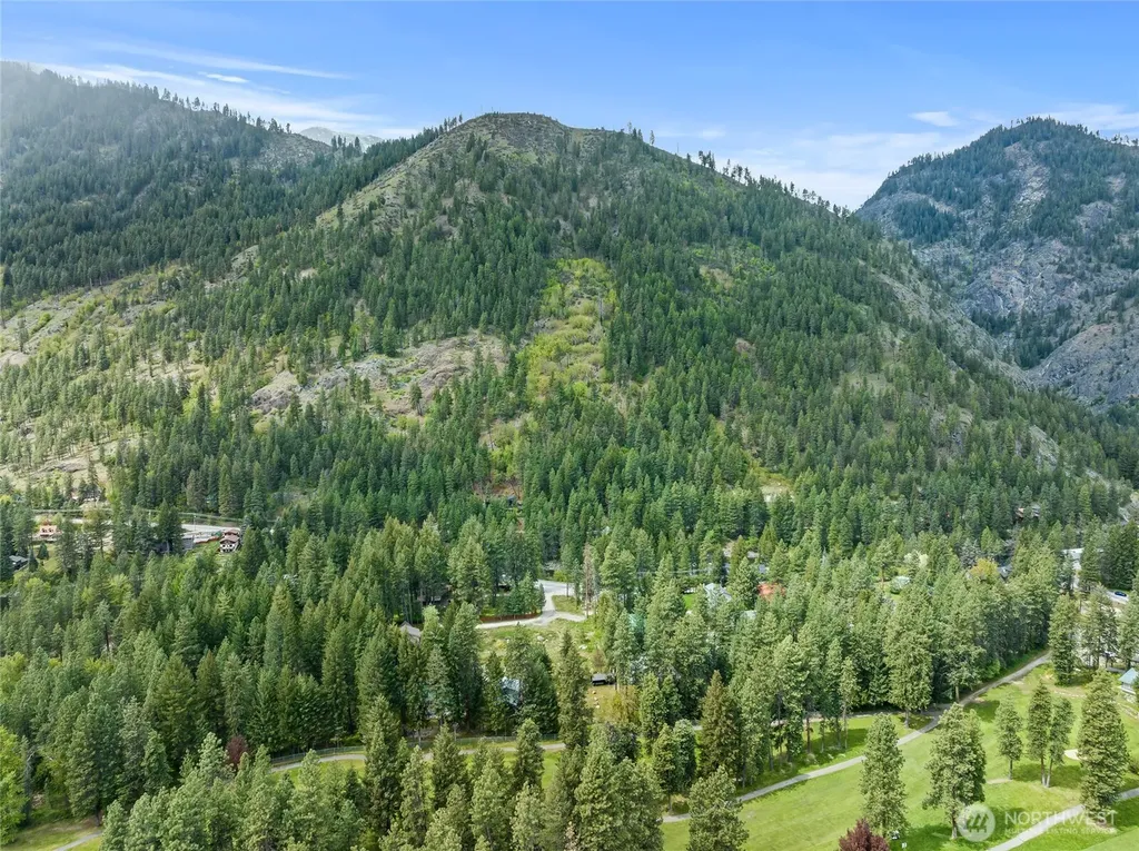 81 Norling Lane Leavenworth WA 98826