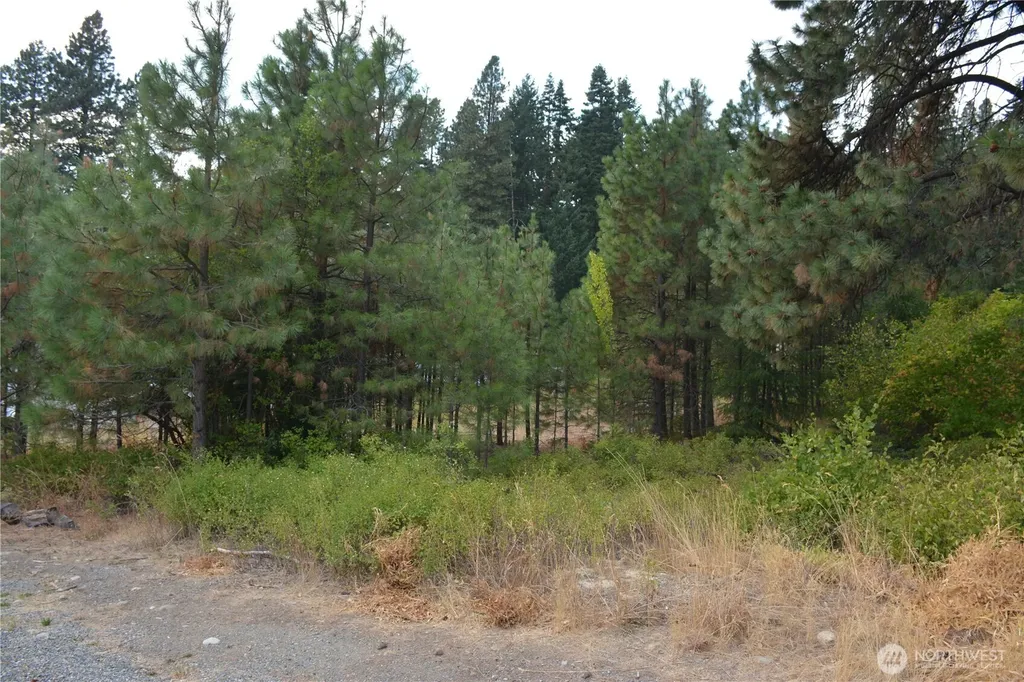 203 E Nevada Avenue Roslyn WA 98941