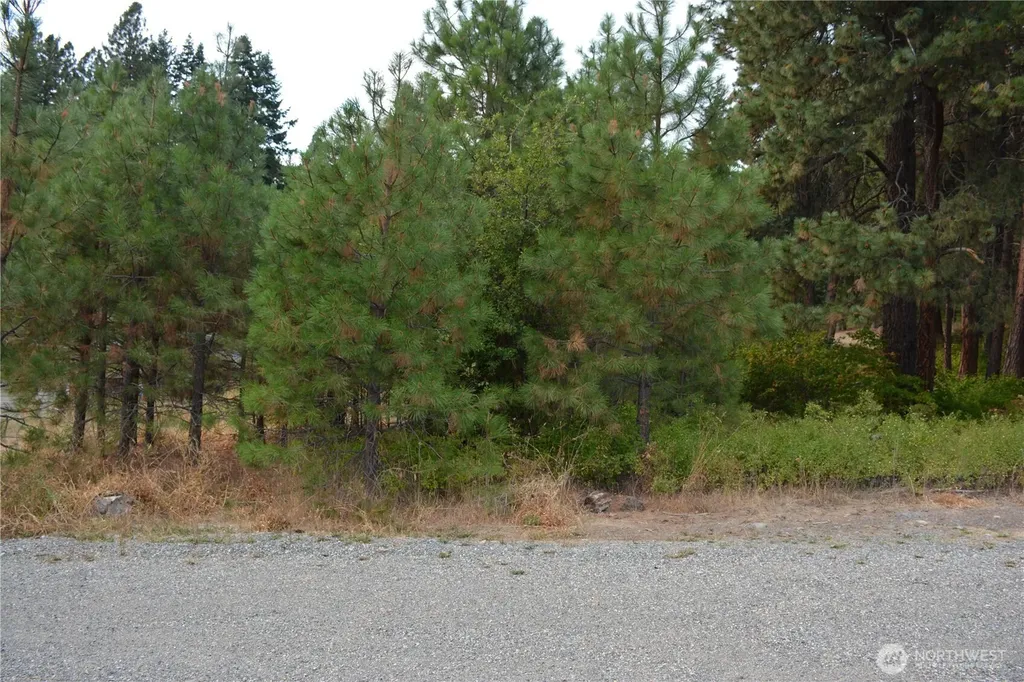 203 E Nevada Avenue Roslyn WA 98941