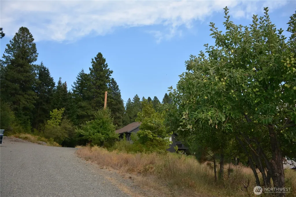 203 E Nevada Avenue Roslyn WA 98941