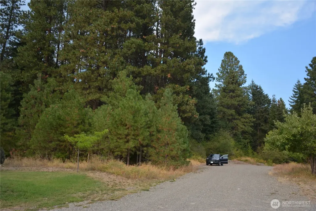 203 E Nevada Avenue Roslyn WA 98941