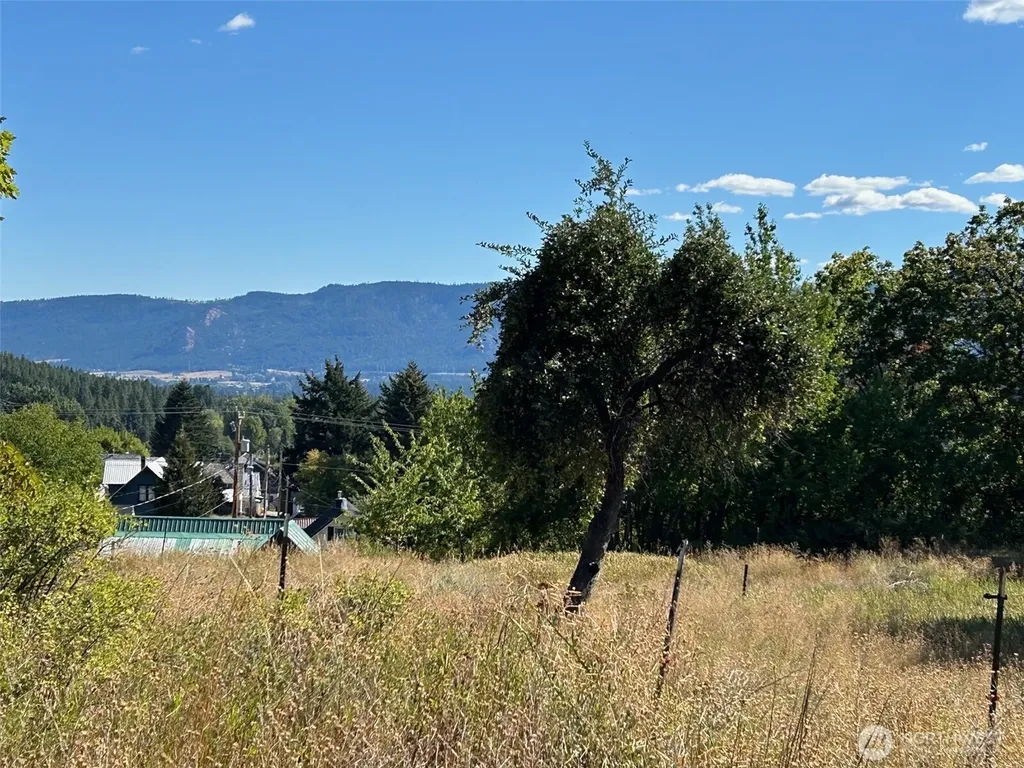 203 E Nevada Avenue Roslyn WA 98941