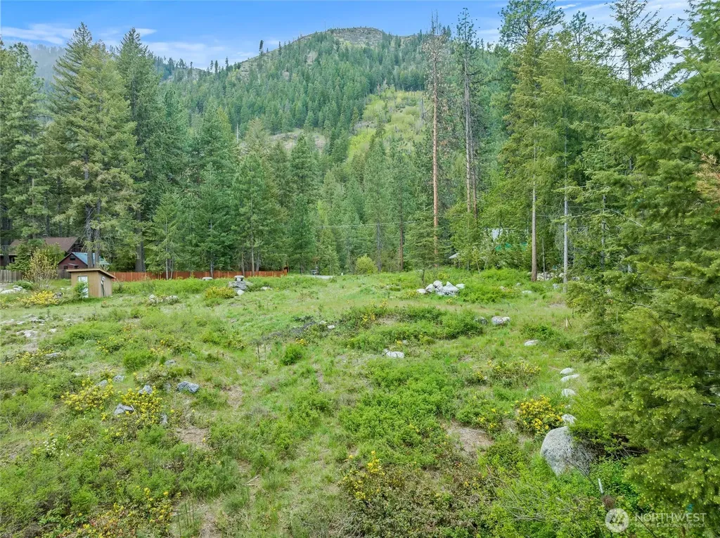 37 Norling Lane Leavenworth WA 98826