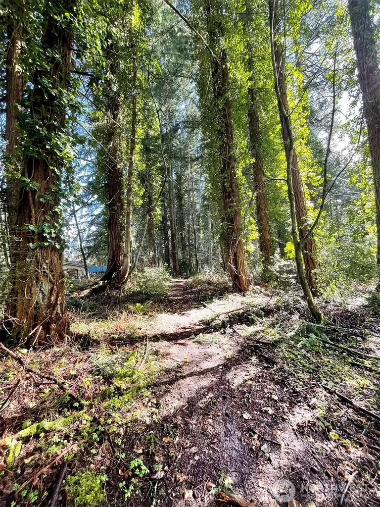 9221 SW Bank Road Vashon WA 98070