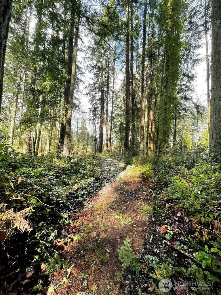 9221 SW Bank Road Vashon WA 98070