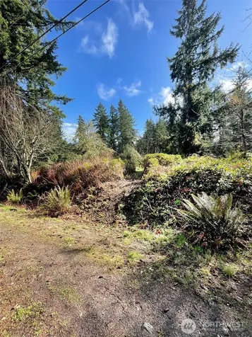 9221 SW Bank Road Vashon WA 98070