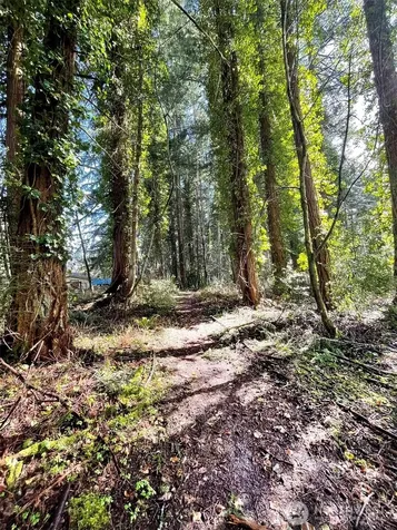 9221 SW Bank Road Vashon WA 98070