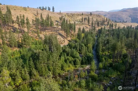 88 Gold Creek Road Carlton WA 98814