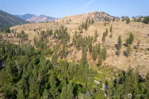 88 Gold Creek Road Carlton WA 98814