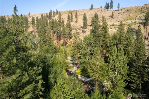 88 Gold Creek Road Carlton WA 98814