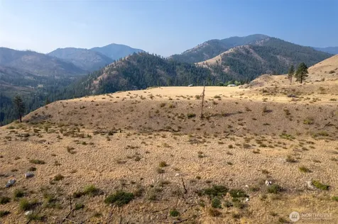 88 Gold Creek Road Carlton WA 98814