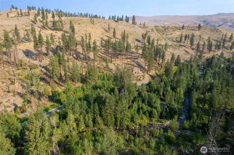 88 Gold Creek Road Carlton WA 98814