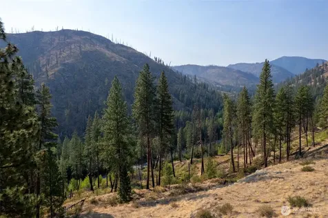 88 Gold Creek Road Carlton WA 98814