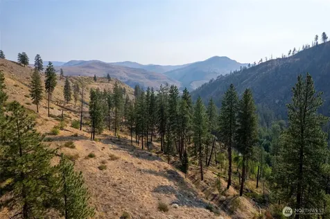 88 Gold Creek Road Carlton WA 98814