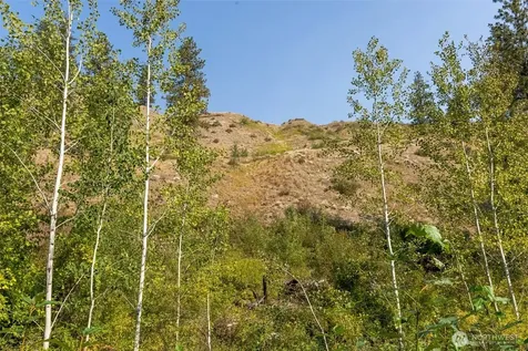 88 Gold Creek Road Carlton WA 98814