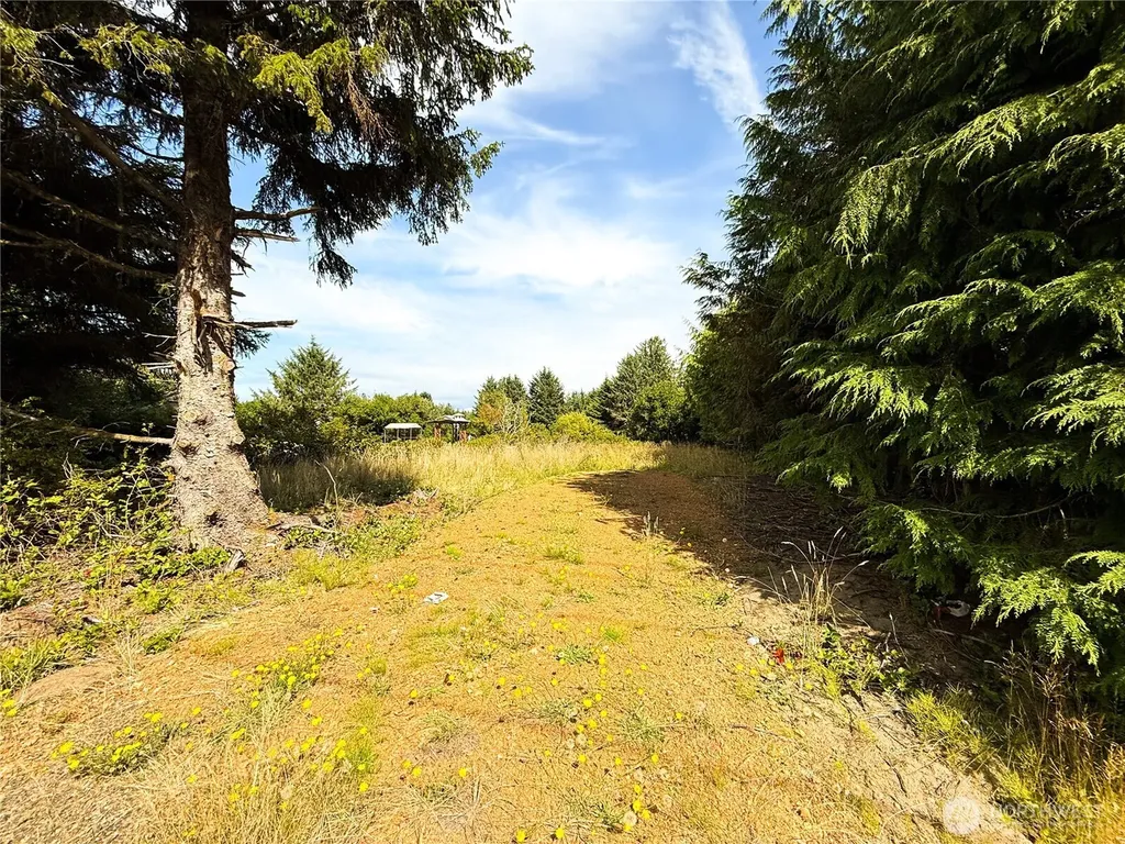 558 Point Brown Ave SE Ocean Shores WA 98569