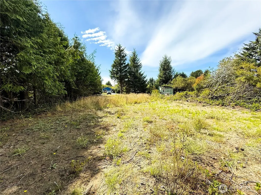 558 Point Brown Ave SE Ocean Shores WA 98569