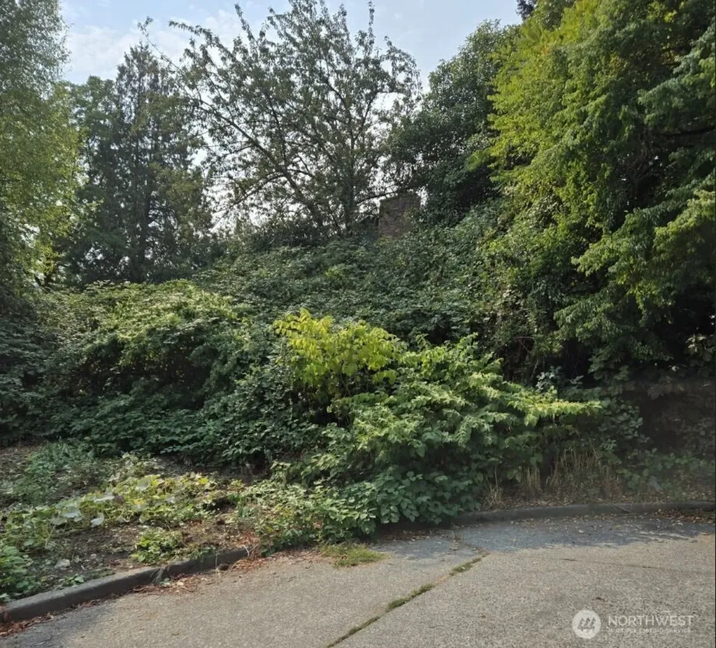 4819 Myrtle Street Seattle WA 98118