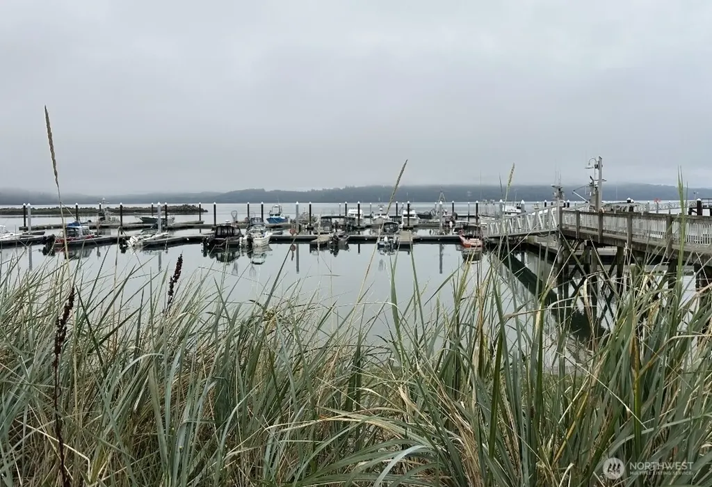 2900 Wheeler Avenue Tokeland WA 98590