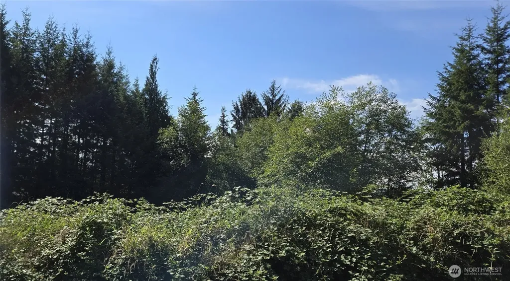 0 Fairview Court Montesano WA 98563