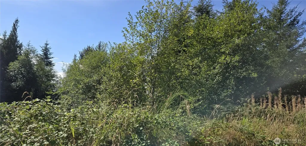 0 Fairview Court Montesano WA 98563