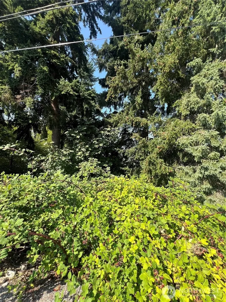 106 Xx Macarthur Lane Mukilteo WA 98275
