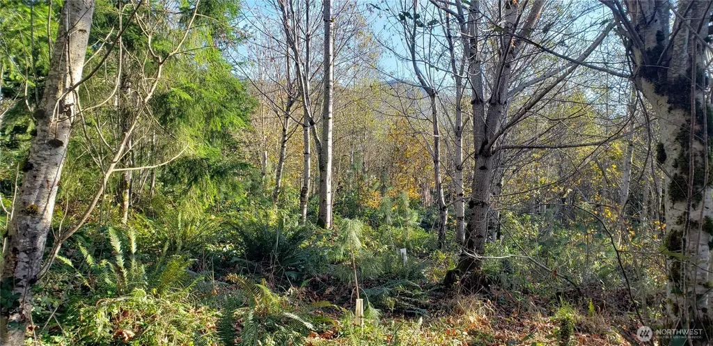 365 Cumberland Ridge Road SE Enumclaw WA 98022