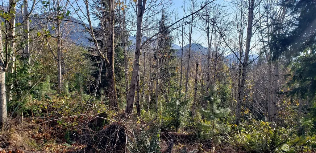 365 Cumberland Ridge Road SE Enumclaw WA 98022