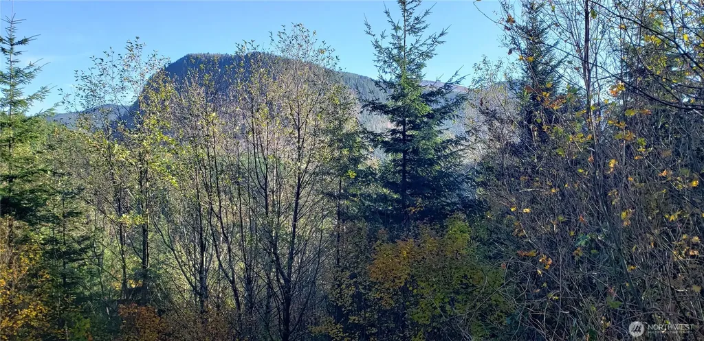 365 Cumberland Ridge Road SE Enumclaw WA 98022